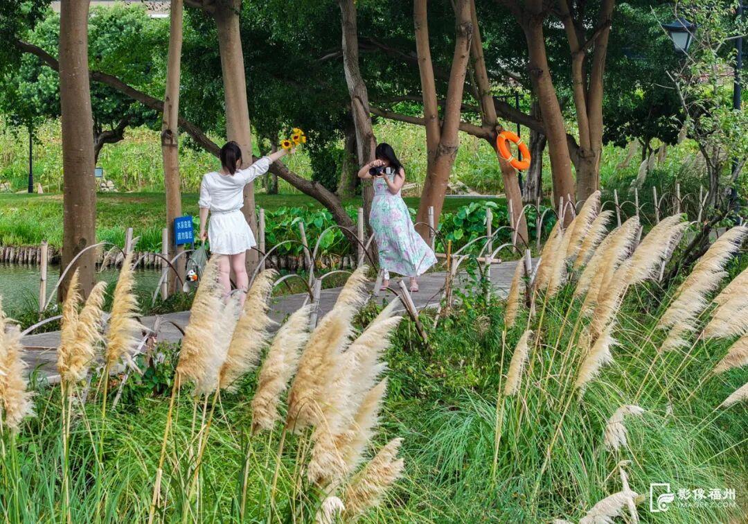 今日秋分，福州美成了诗！