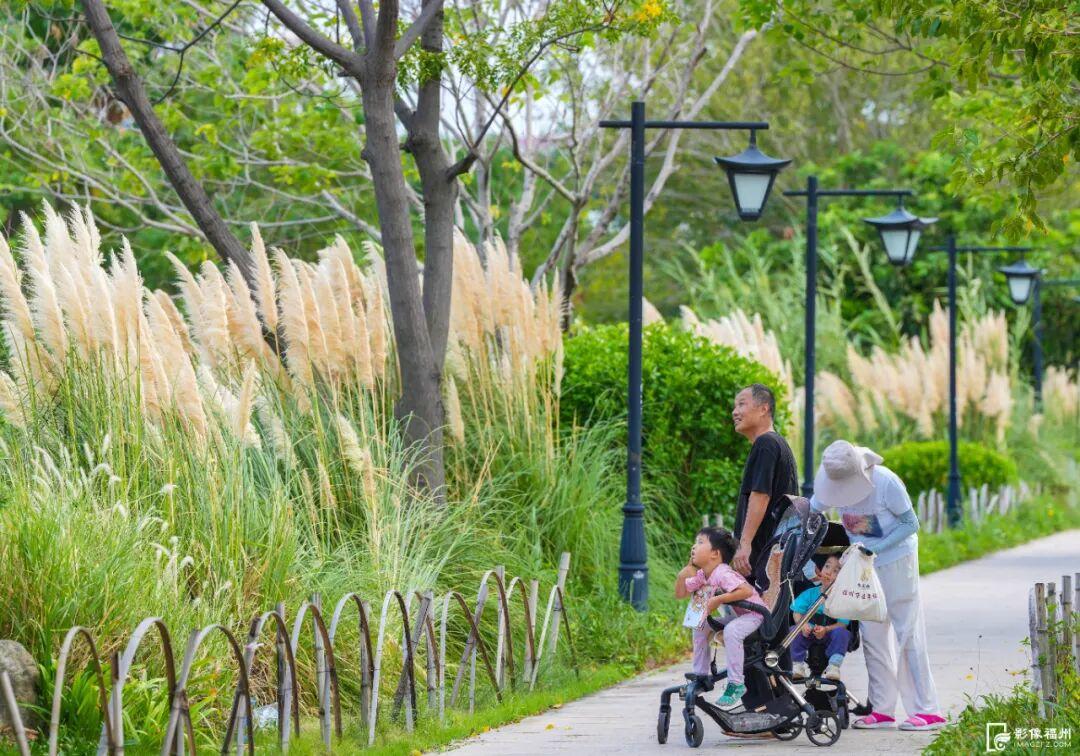 今日秋分，福州美成了诗！