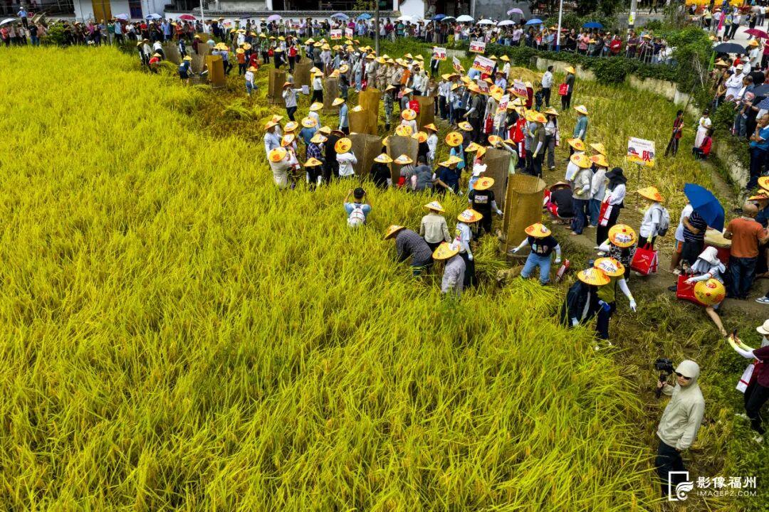 今日秋分，福州美成了诗！