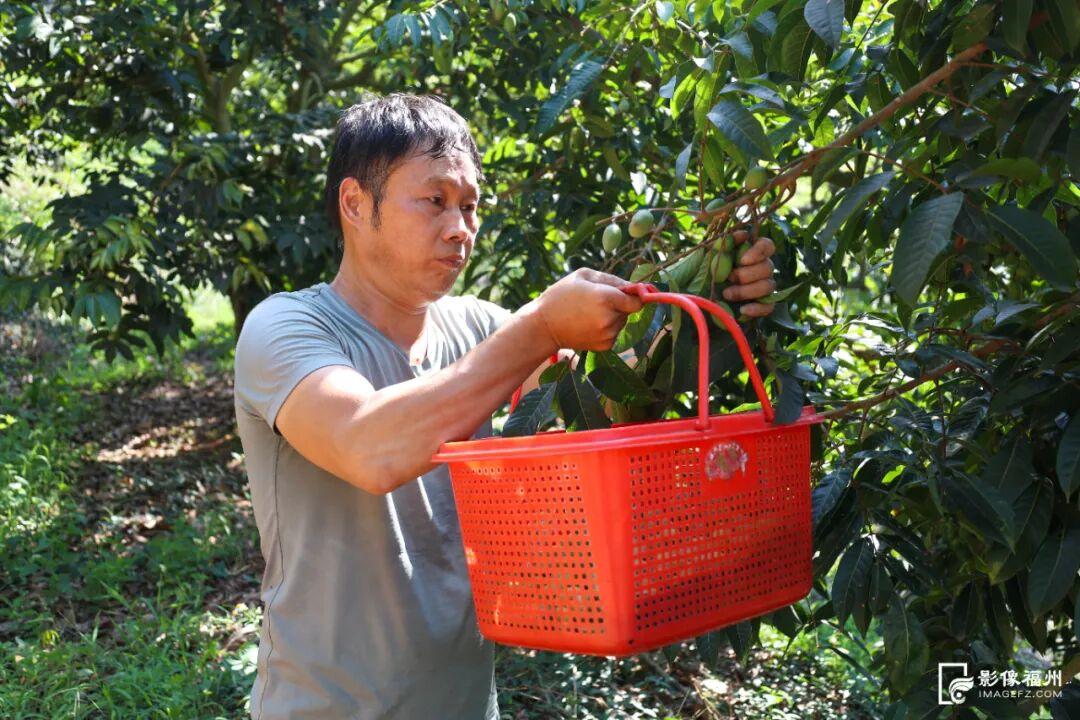 今日秋分，福州美成了诗！