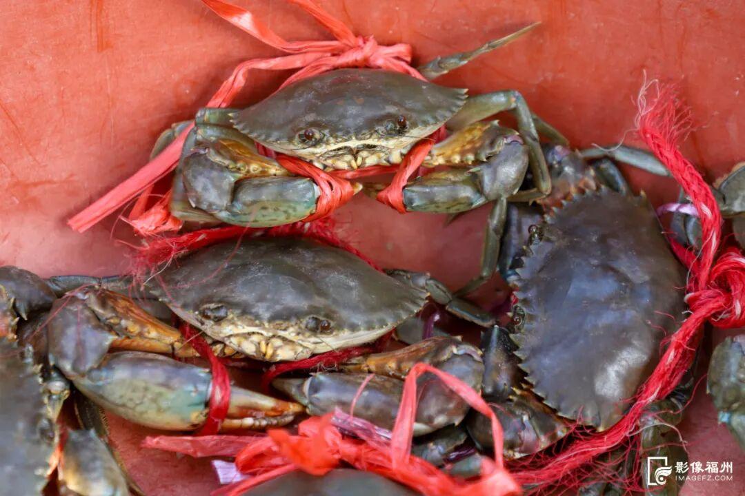 今日秋分，福州美成了诗！