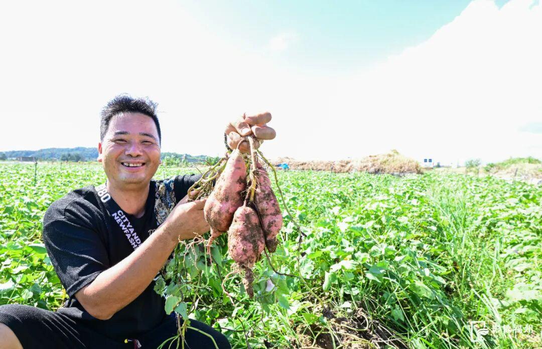 今日秋分，福州美成了诗！