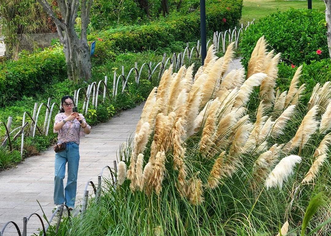 今日秋分，福州美成了诗！