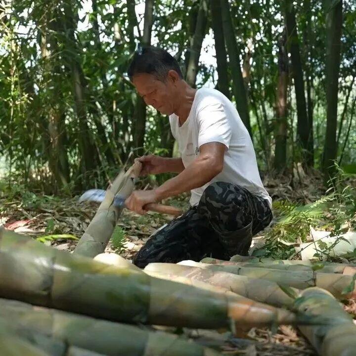 咔嚓！秋分第一声脆响！go～跟着主播进山“抢鲜”