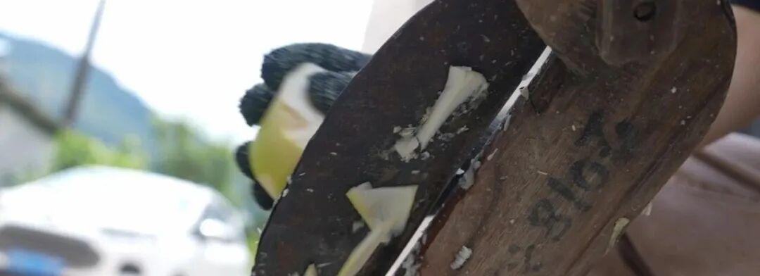 咔嚓！秋分第一声脆响！go～跟着主播进山“抢鲜”