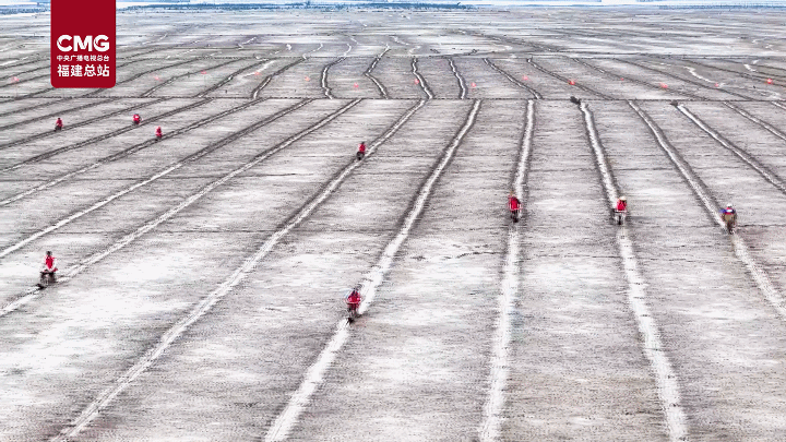 丰收也能这么玩？连江滩涂上演泥橇大比拼