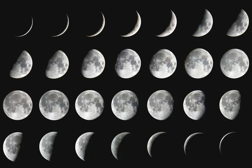 抬头看！26日将迎年度最小蛾眉月