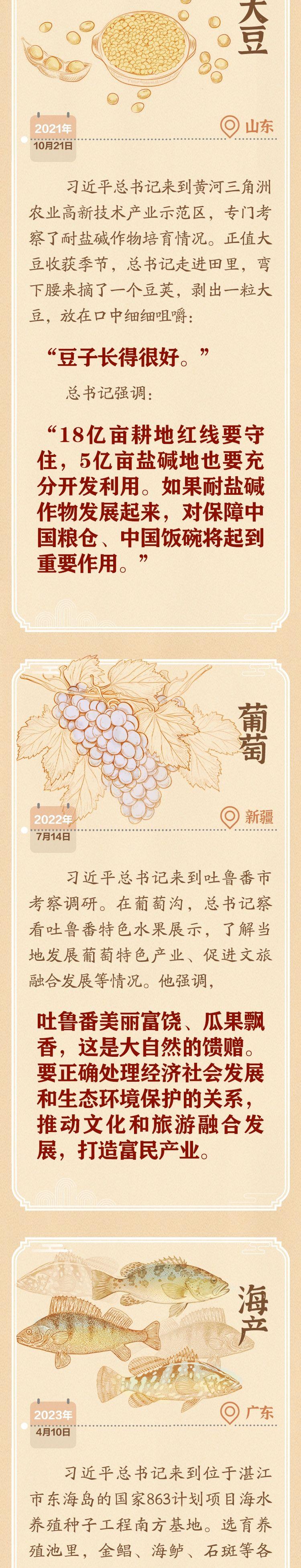 学习新语｜跟着总书记脚步，走过四季庆丰收