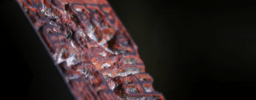 微视频｜总书记情牵天山南北