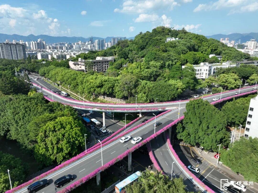 总长达196公里！福州姹紫嫣红！