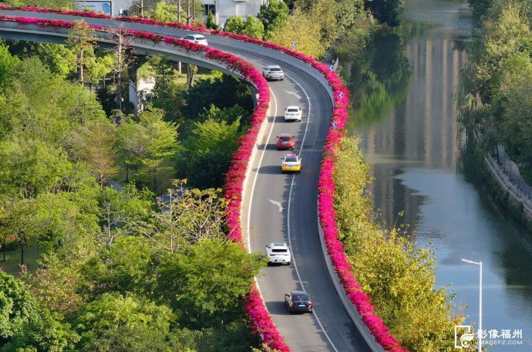 总长达196公里！福州姹紫嫣红！