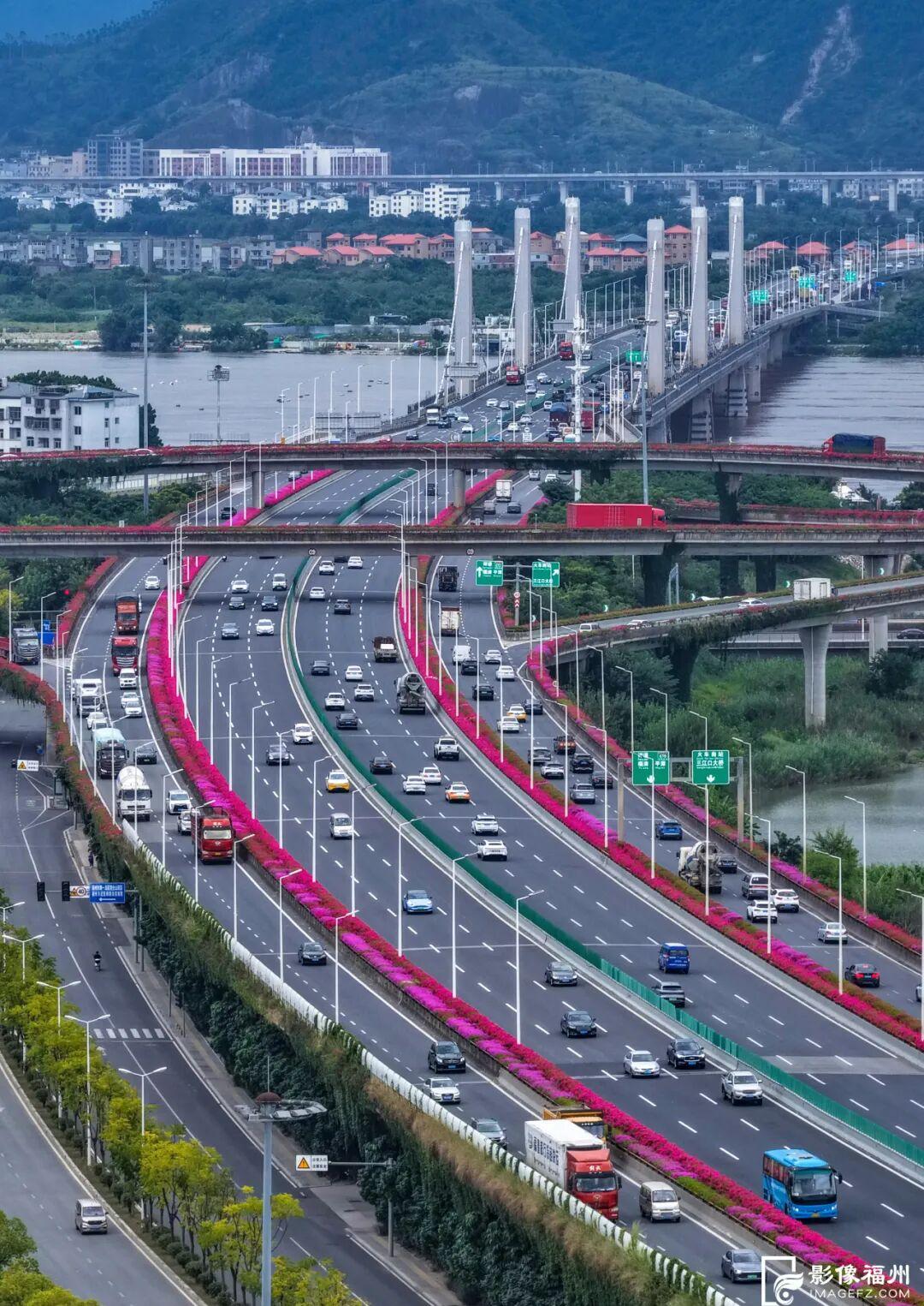 总长达196公里！福州姹紫嫣红！