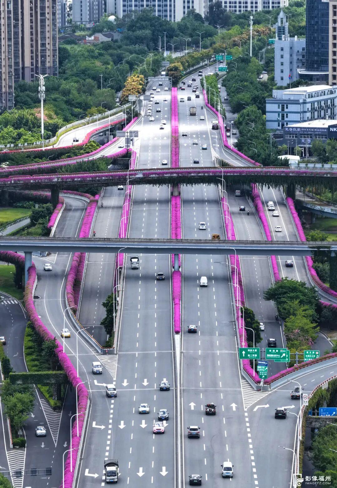总长达196公里！福州姹紫嫣红！