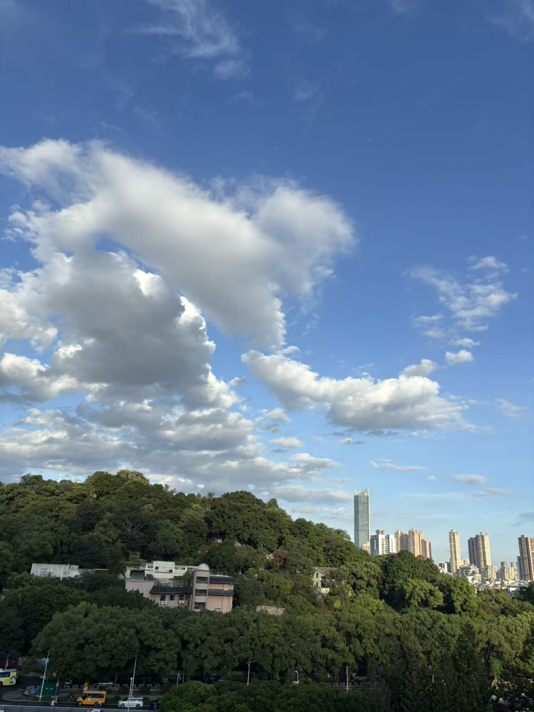 台风“桦加沙”最新路径发布！福建局部大雨暴雨