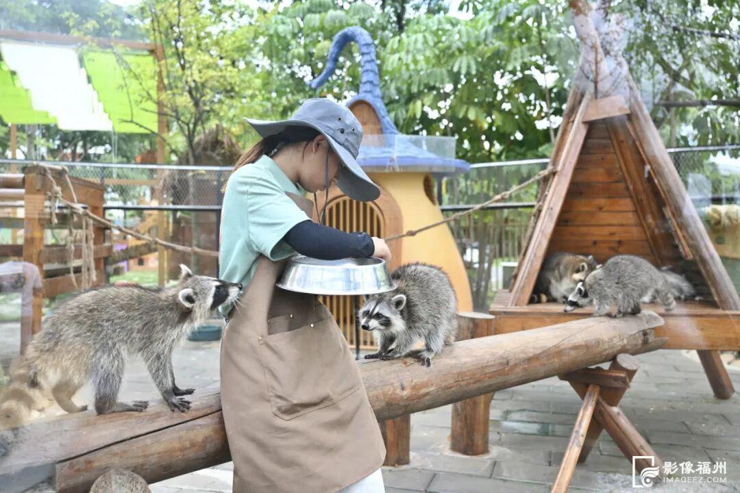 福州新晋亲子游好去处！国庆开放