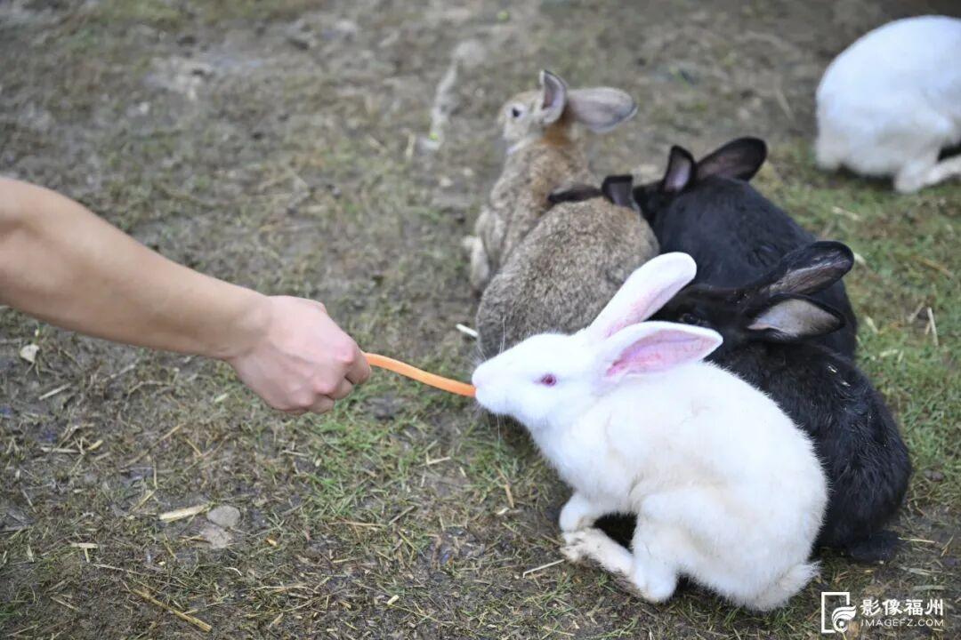 福州新晋亲子游好去处！国庆开放