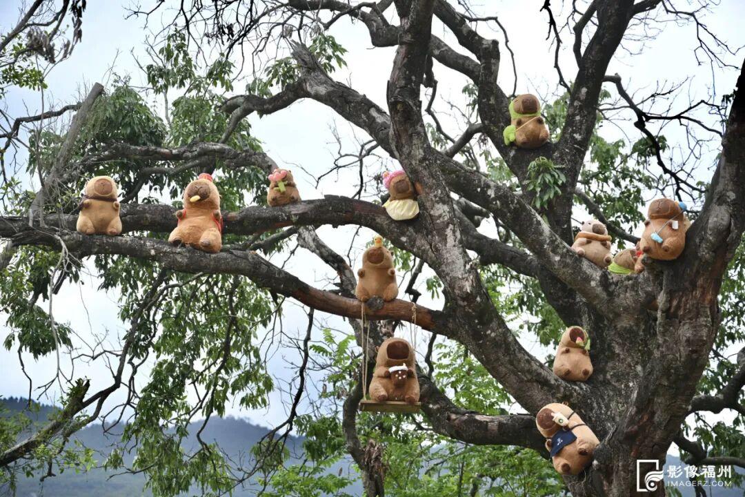 福州新晋亲子游好去处！国庆开放