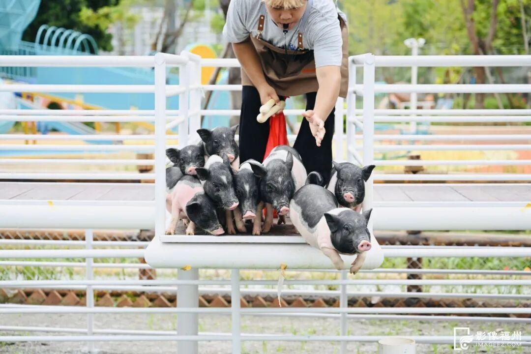 福州新晋亲子游好去处！国庆开放