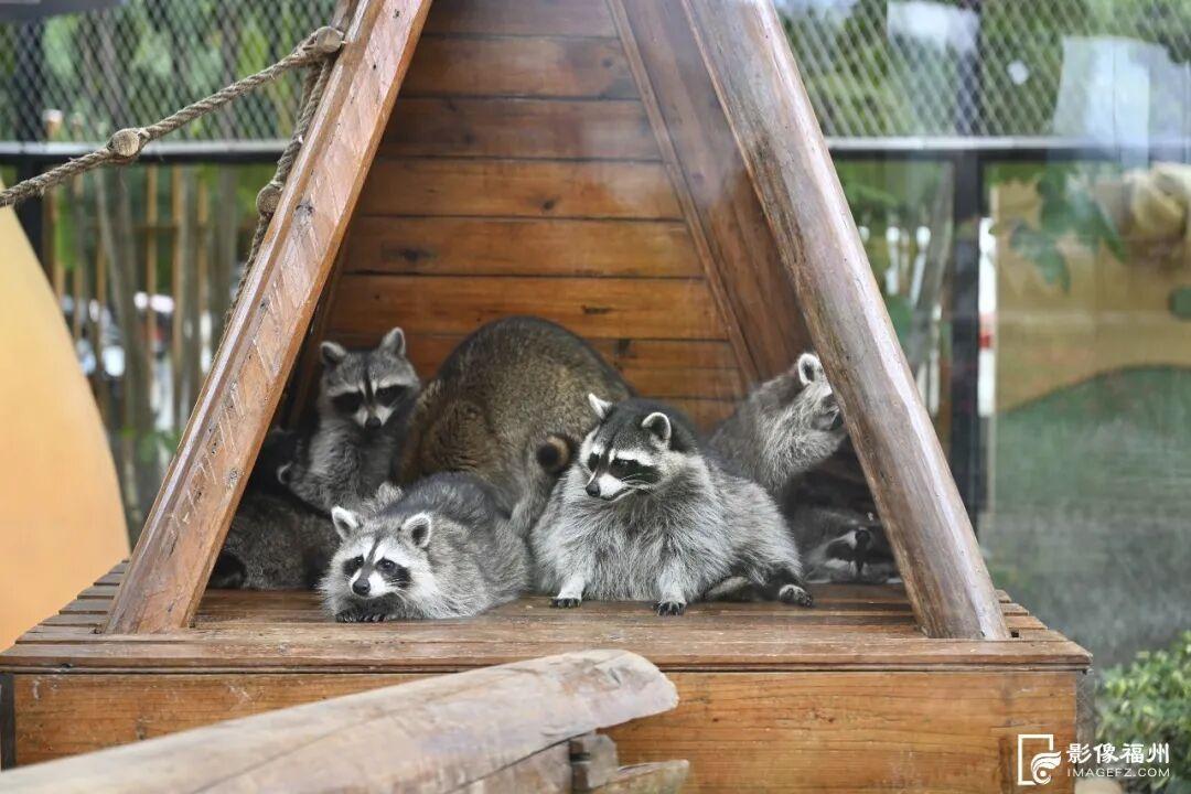 福州新晋亲子游好去处！国庆开放