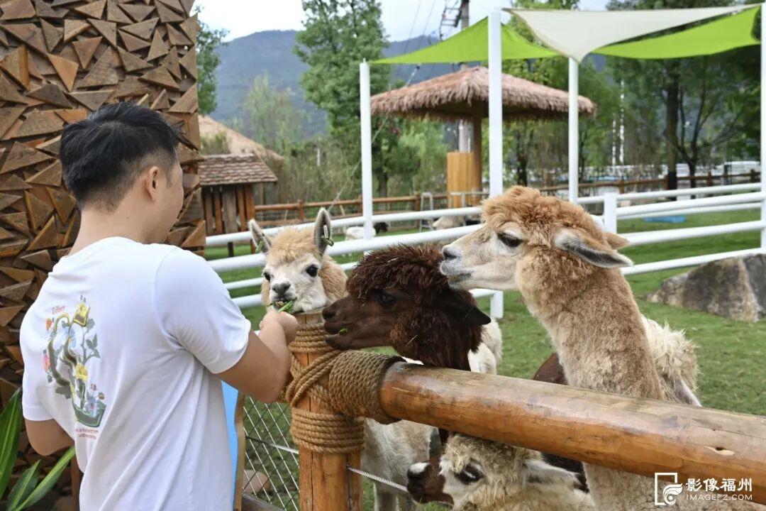 福州新晋亲子游好去处！国庆开放