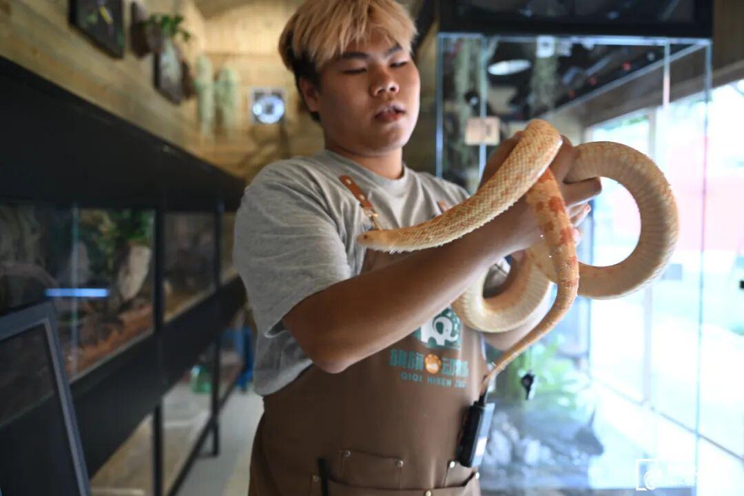 福州新晋亲子游好去处！国庆开放