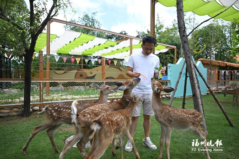 国庆遛娃好去处！旗山湖公园新增一动物互动乐园