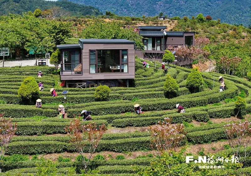 永泰：青山叠翠绘新卷 产业勃发向未来