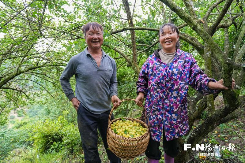 永泰：青山叠翠绘新卷 产业勃发向未来