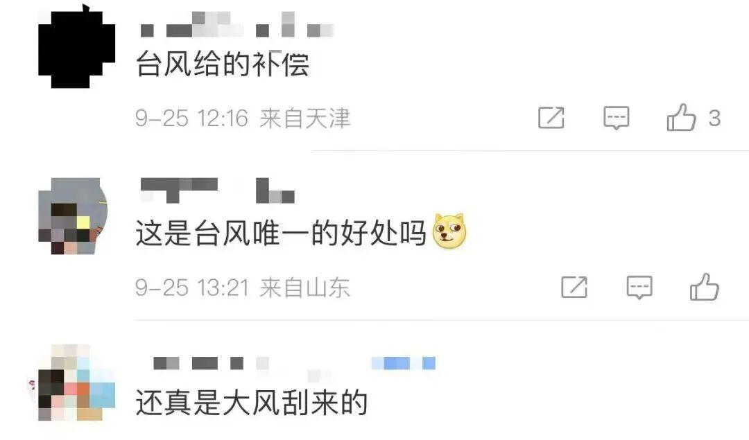 密密麻麻，遍地都是！捡到手软，专家提醒