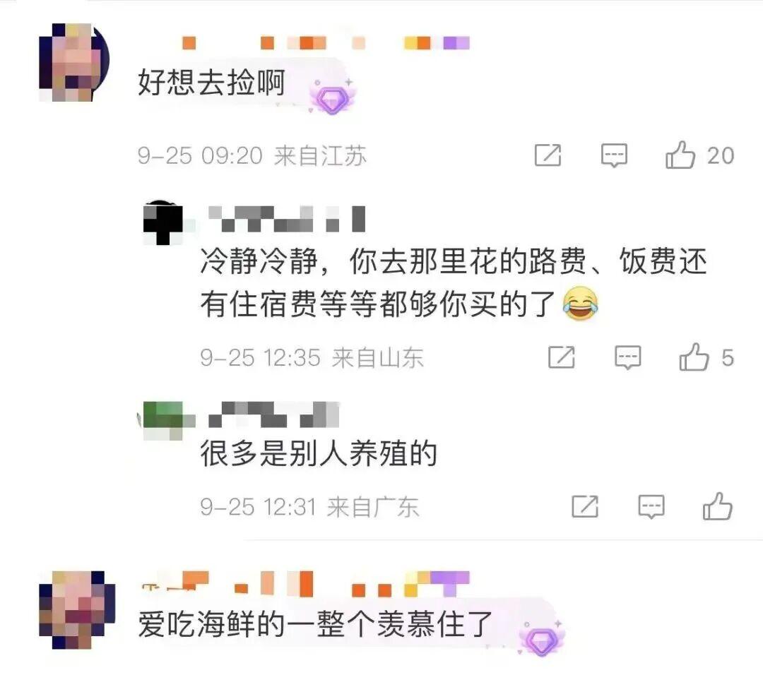 密密麻麻，遍地都是！捡到手软，专家提醒