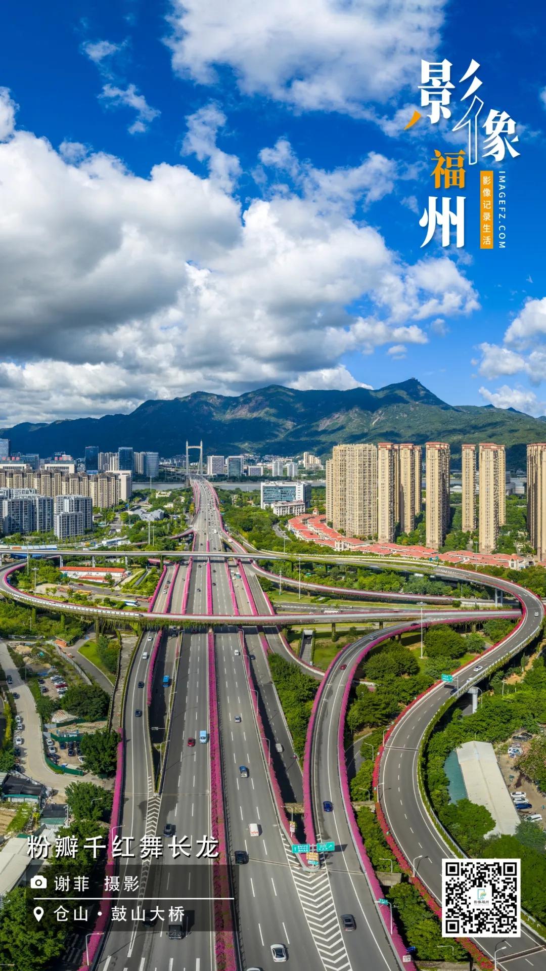 影像福州丨粉瓣千红舞长龙