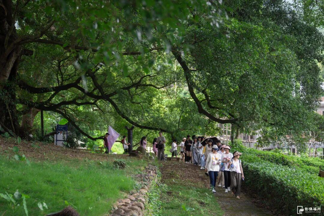 有山有水有文化！解锁闽清秋日惊喜