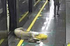 福州地铁突发！“这颗糖好甜”