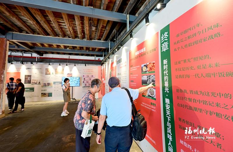 陈振龙番薯文化展开展 呈现七代人接力推广番薯种植的历程