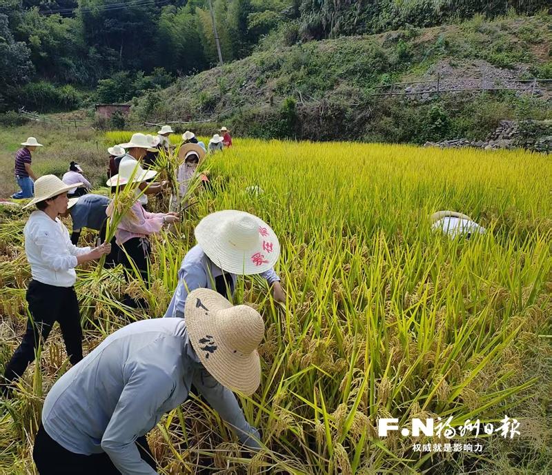 “我在乡村有亩田”喜获丰收