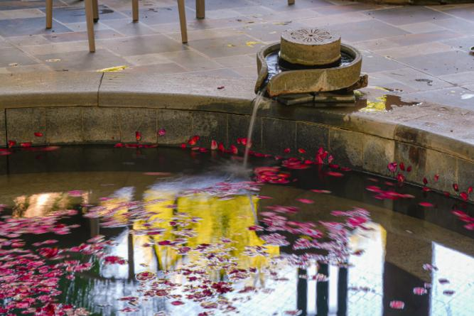 《老单走福州》镜头藏彩蛋！千年金汤+木桶私享，双节福利炸场