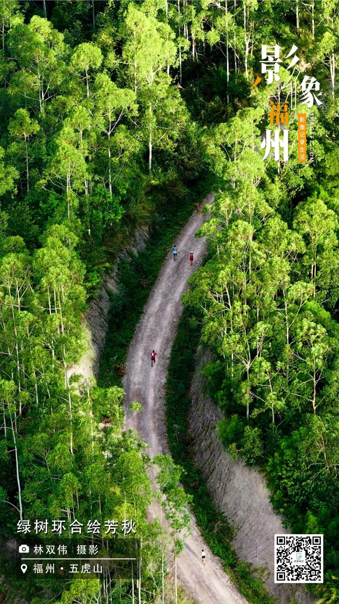 影像福州丨绿树环合绘芳秋