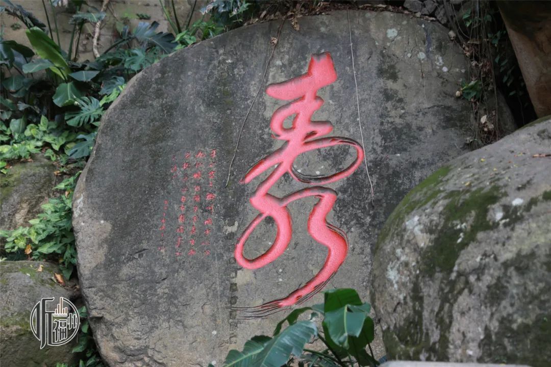 有声书｜树界奇葩！劈叉、攀岩毫不费力……