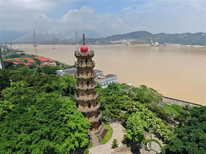 有声书｜古榕第一名，原来是它……