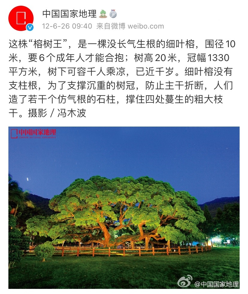 有声书｜古榕第一名，原来是它……