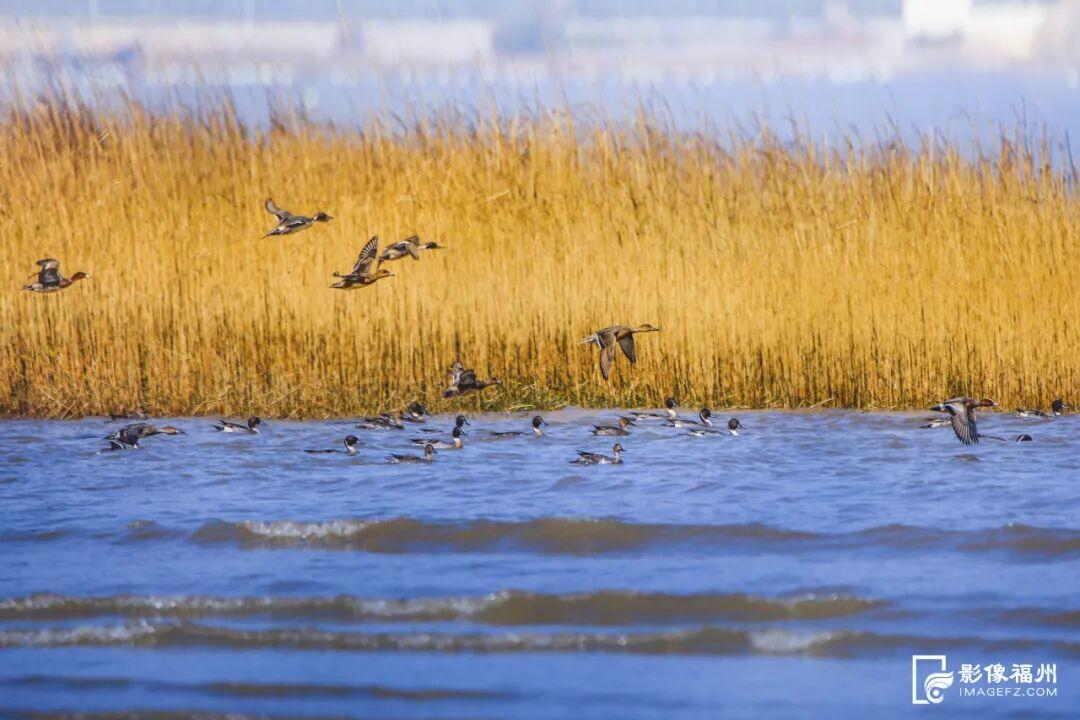 遇见福州，遇见水