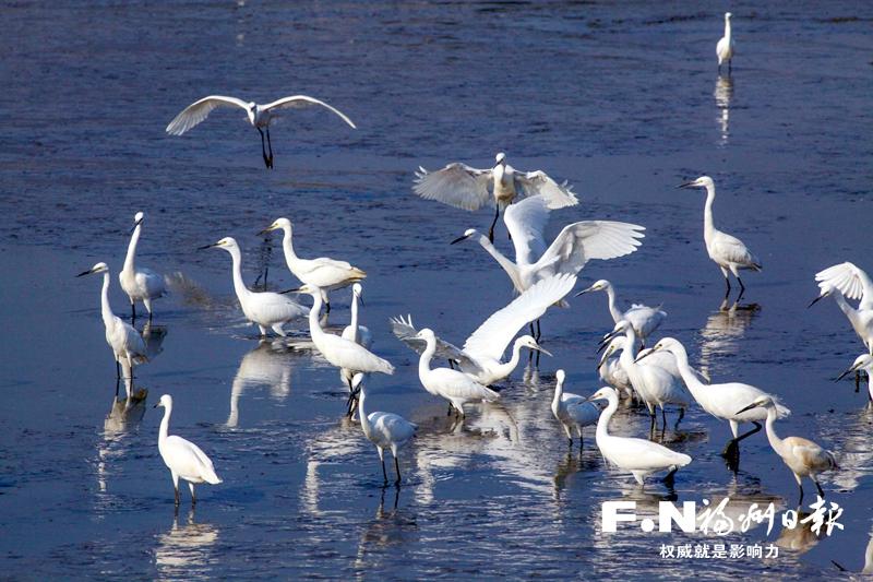 福州新区（长乐区）发来一份海滨漫步邀请