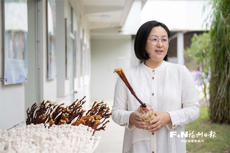 左海会客厅｜林冬梅：二十余载深耕，续写菌草传奇