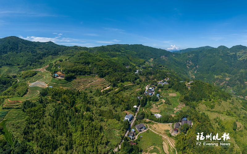 福州闽侯茶苑村：“空心村”焕发新生