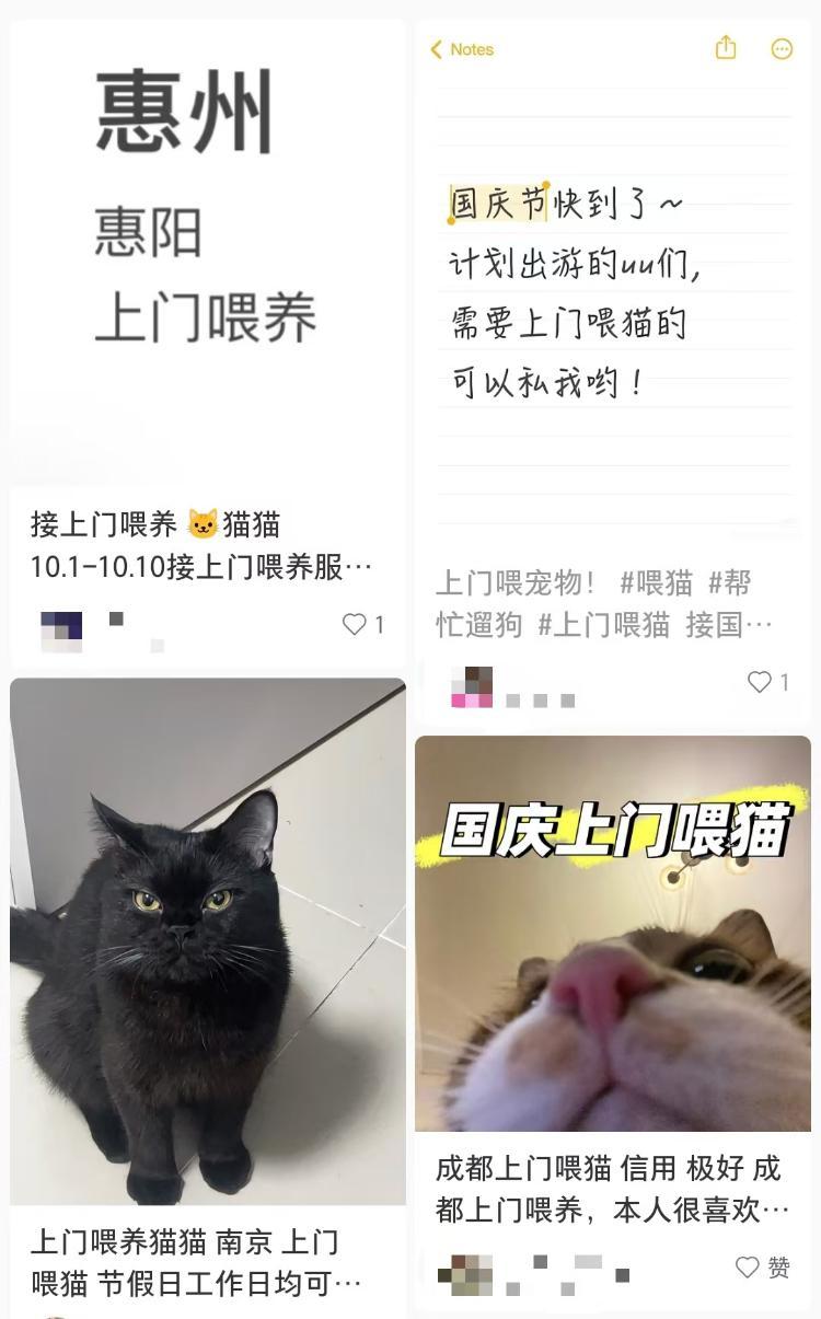 男子接270单上门喂养 最高1单8100元