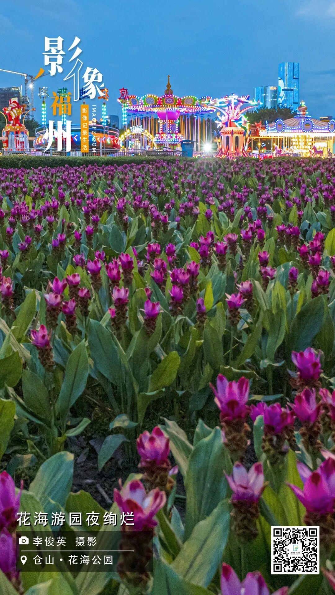 影像福州丨花海游园夜绚烂