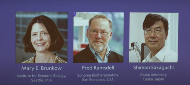 2025年诺贝尔生理学或医学奖揭晓