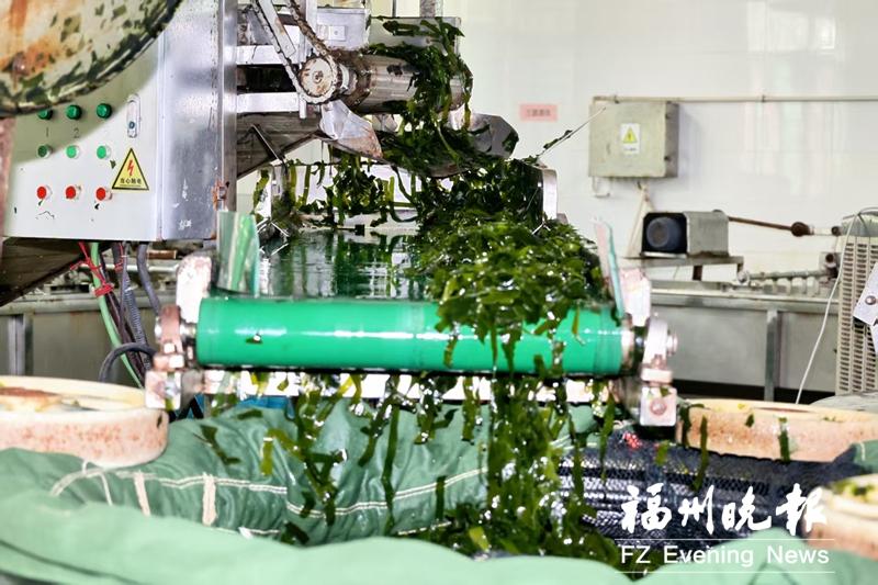 海外展销收获大批订单 福州水产品开足马力“出海” 海外展销收获大批订单 福州水产品开足马力“出海”