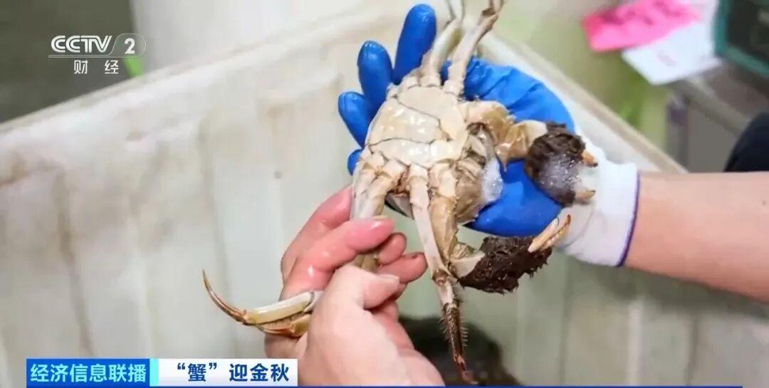 平均月收入约2万元！这个职业近期缺口大