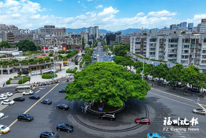 福州“绿色遗产”变身“流量密码”